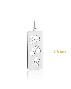 Collar de plata con placa de triatlón de 45 cm – Supera tus límites | Con estilo